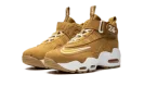 Air Griffey Max 1 GS "Wheat"