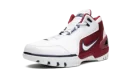 Air Zoom Generation "First Game"