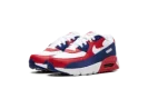 Air Max 90 PS "USA"