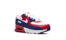 Air Max 90 PS "USA"