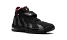 AIR DT MAX '96 "Falcons"