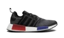 NMD_R1 "core og"