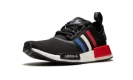 NMD_R1 Color