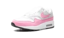 AIR MAX 1 ESS WMNS