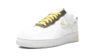 Air Force 1 Low "Gold Link Zebra"