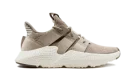 Prophere PS