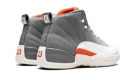 Air Jordan 12 Retro "Cool Grey"