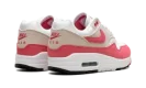 Air Max 1 WMNS "Aster Pink"
