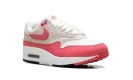 Air Max 1 WMNS "Aster Pink"