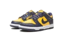 Dunk Low GS "Michigan 2021"