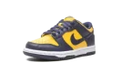 Dunk Low GS "Michigan 2021"