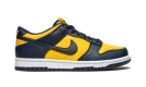 Dunk Low GS "Michigan 2021"