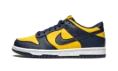 Dunk Low GS "Michigan 2021"