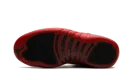 Air Jordan 12 "Flu Game (2025)"
