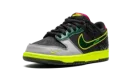 Nike Dunk Low UO PREM "What The Duck Home"