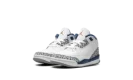 Air Jordan 3 TD "Wizards"