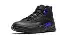 Air Jordan 12 Retro "Dark Concord" CT8013 005