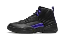 Air Jordan 12 Retro "Dark Concord" CT8013 005