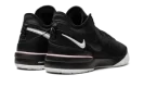 Nike Zoom LeBron NXXT Gen "Black/White"