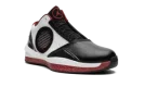 Air Jordan 2010