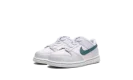 Dunk Low TD "Mineral Teal"