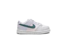 Dunk Low TD "Mineral Teal"