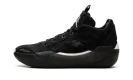 Air Jordan XXXIX "Black / Sail"