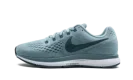 AIR ZOOM PEGASUS 34 MNS WMNS "Blue"