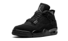 Air Jordan 4 Retro "Black Cat 2020"