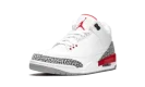 Air Jordan 3 Retro "Katrina / Hall Of Fame"