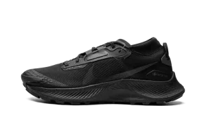 Pegasus Trail 3 GTX "Gore-Tex - Triple Black"