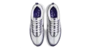 Air Zoom Spiridon OG "Light Concord"