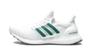 UltraBoost 4.0 DNA