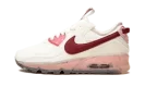 AIR MAX 90 TERRASCAPE MNS WMNS "Pomegranate"