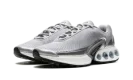 Air Max Dn Premium WMNS "Metallic Silver"