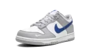Dunk Low GS