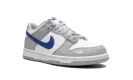 Dunk Low GS