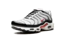 Air Max Plus "Photon Dust / Varsity Red"