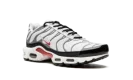 Air Max Plus "Photon Dust / Varsity Red"