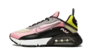 AIR MAX 2090 MNS WMNS "Champagne Cyber"