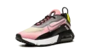 AIR MAX 2090 MNS WMNS "Champagne Cyber"
