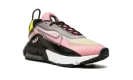 AIR MAX 2090 MNS WMNS "Champagne Cyber"