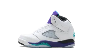 Air Jordan 5 Retro PS "Grape" HQ7979 100