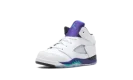 Jordan 5 Retro TD "Grape (2025)"