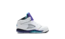 Jordan 5 Retro TD "Grape (2025)"