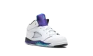 Jordan 5 Retro TD "Grape (2025)"