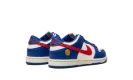 Dunk Low PS NN "Superhero"