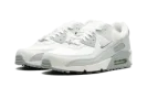Air Max 90 WMNS "Silver"