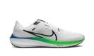 Air Zoom Pegasus 40 "Platinum Tint Green Strike"