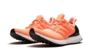 ULTRA BOOST WMNS
